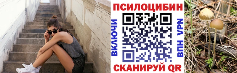 Галлюциногенные грибы ЛСД  Купить где  Кимовск 